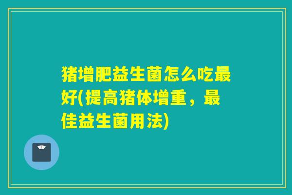 猪增肥益生菌怎么吃最好(提高猪体增重，最佳益生菌用法)