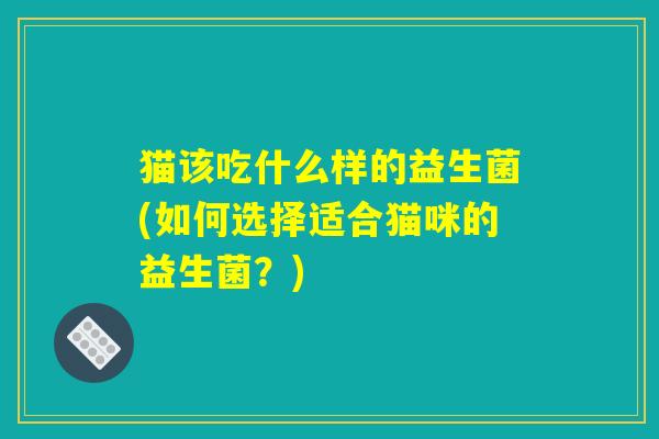 猫该吃什么样的益生菌(如何选择适合猫咪的益生菌？)