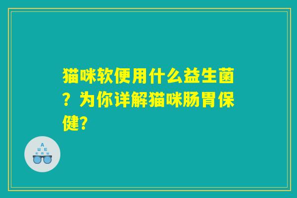 猫咪软便用什么益生菌？为你详解猫咪肠胃保健？