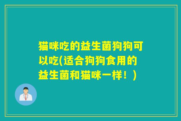 猫咪吃的益生菌狗狗可以吃(适合狗狗食用的益生菌和猫咪一样！)