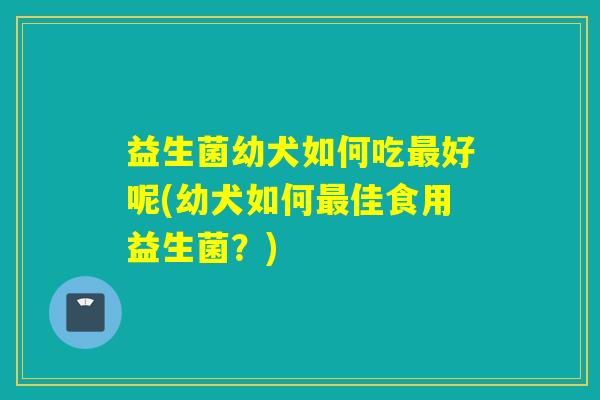 益生菌幼犬如何吃最好呢(幼犬如何最佳食用益生菌？)