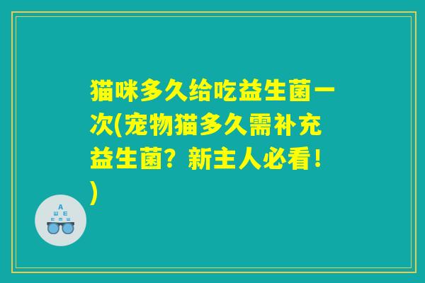 猫咪多久给吃益生菌一次(宠物猫多久需补充益生菌？新主人必看！)