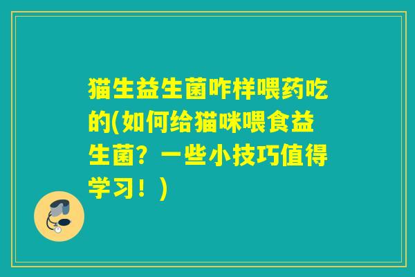 猫生益生菌咋样喂药吃的(如何给猫咪喂食益生菌?一些小技巧值得学习!) 猫生益生菌咋样喂药吃的(如何给猫咪喂食益生菌?一些小技巧值得学习!)