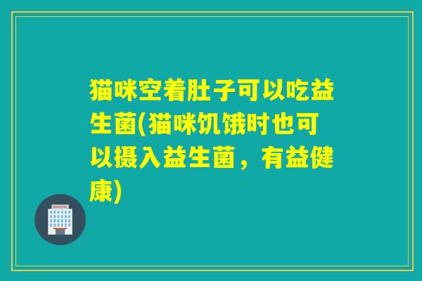 猫咪空着肚子可以吃益生菌(猫咪饥饿时也可以摄入益生菌，有益健康)