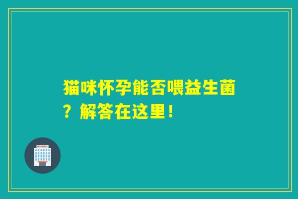 猫咪怀孕能否喂益生菌？解答在这里！