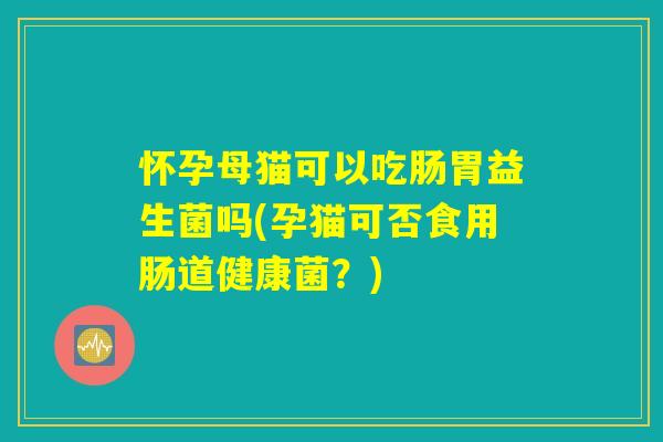 怀孕母猫可以吃肠胃益生菌吗(孕猫可否食用肠道健康菌？)