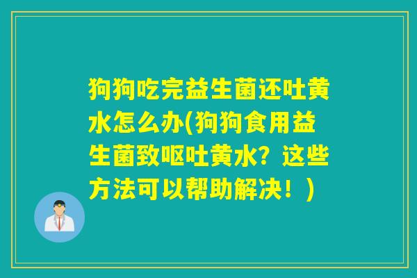 狗狗吃完益生菌还吐黄水怎么办(狗狗食用益生菌致呕吐黄水？这些方法可以帮助解决！)