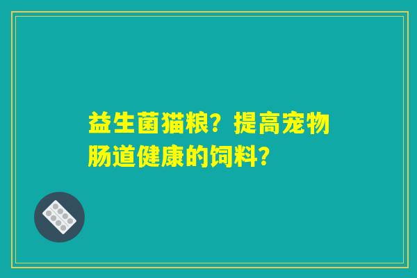 益生菌猫粮？提高宠物肠道健康的饲料？