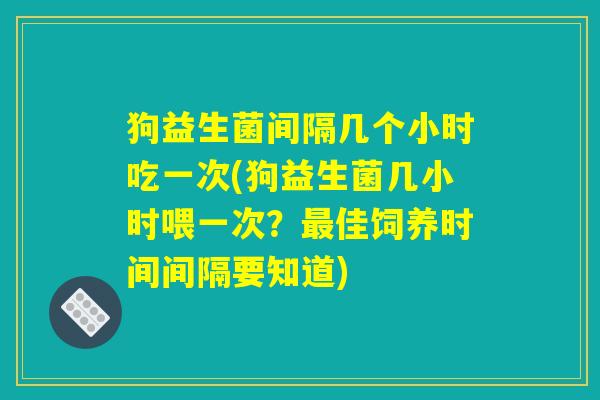 狗益生菌间隔几个小时吃一次(狗益生菌几小时喂一次？最佳饲养时间间隔要知道)