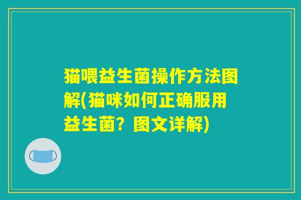 猫喂益生菌操作方法图解(猫咪如何正确服用益生菌？图文详解)