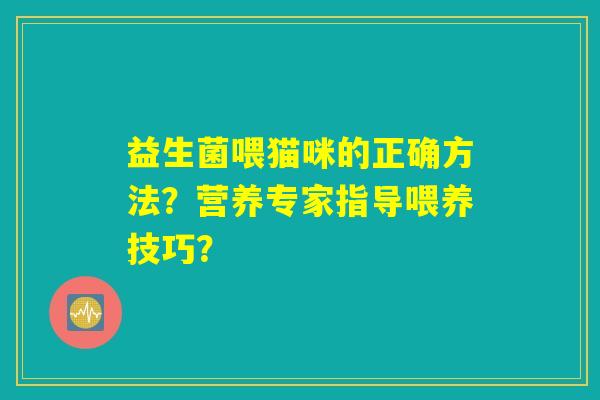 益生菌喂猫咪的正确方法？营养专家指导喂养技巧？