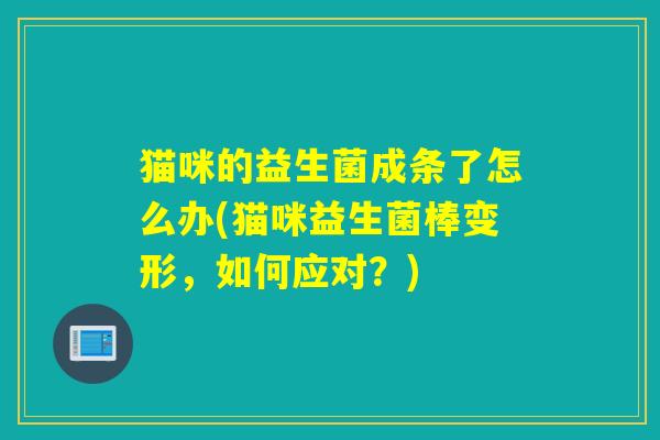 猫咪的益生菌成条了怎么办(猫咪益生菌棒变形，如何应对？)