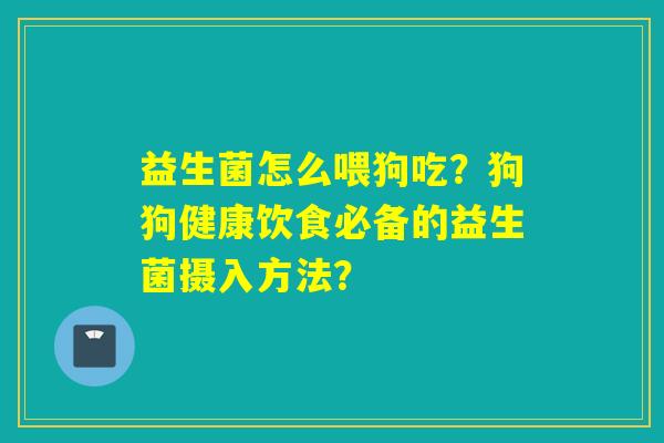 益生菌怎么喂狗吃？狗狗健康饮食必备的益生菌摄入方法？