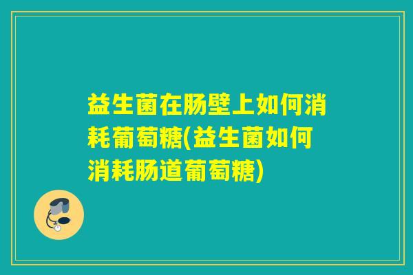 益生菌在肠壁上如何消耗葡萄糖(益生菌如何消耗肠道葡萄糖)