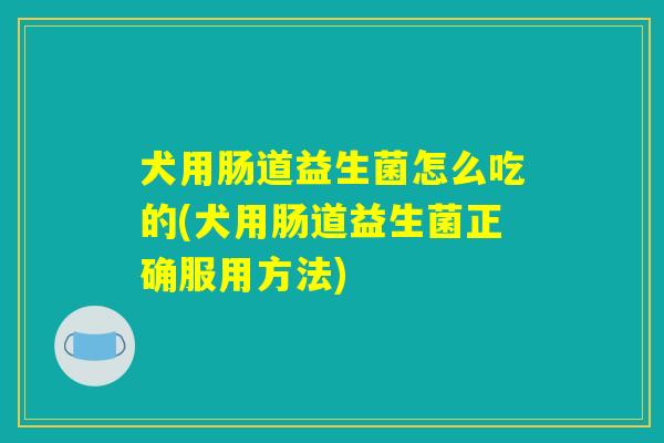 犬用肠道益生菌怎么吃的(犬用肠道益生菌正确服用方法)