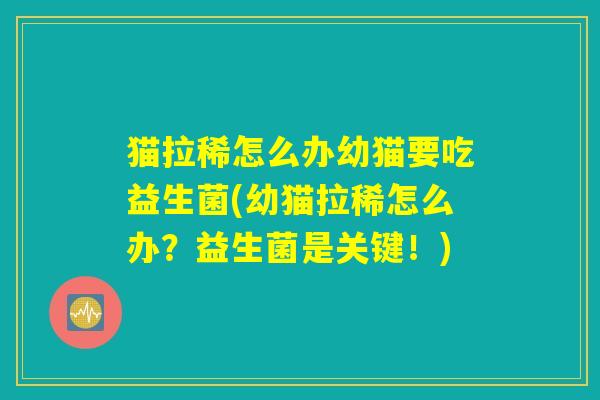 猫拉稀怎么办幼猫要吃益生菌(幼猫拉稀怎么办?益生菌是关键!) 猫拉稀怎么办幼猫要吃益生菌(幼猫拉稀怎么办?益生菌是关键!)