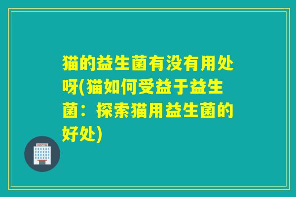 猫的益生菌有没有用处呀(猫如何受益于益生菌：探索猫用益生菌的好处)
