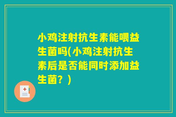 小鸡注射抗生素能喂益生菌吗(小鸡注射抗生素后是否能同时添加益生菌？)