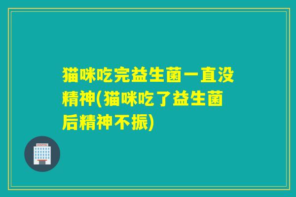猫咪吃完益生菌一直没精神(猫咪吃了益生菌后精神不振)
