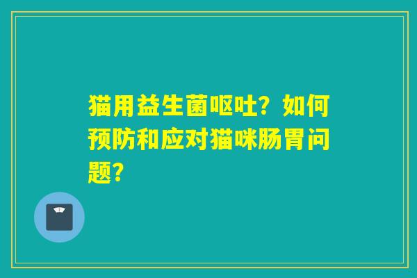 猫用益生菌呕吐？如何预防和应对猫咪肠胃问题？