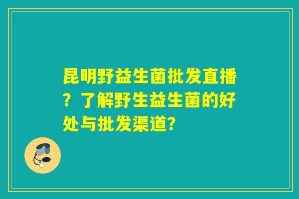 昆明野益生菌批发直播？了解野生益生菌的好处与批发渠道？