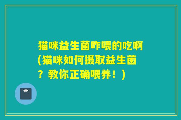 猫咪益生菌咋喂的吃啊(猫咪如何摄取益生菌？教你正确喂养！)
