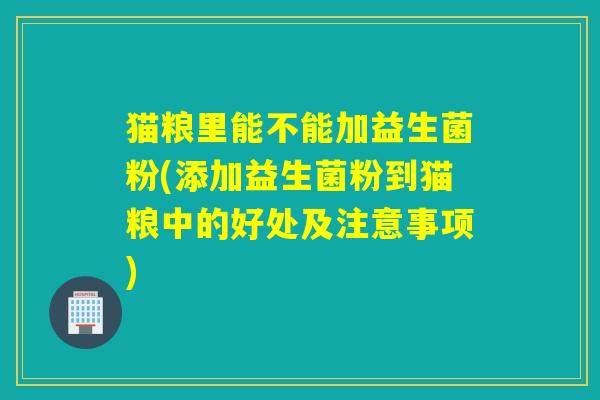 猫粮里能不能加益生菌粉(添加益生菌粉到猫粮中的好处及注意事项)