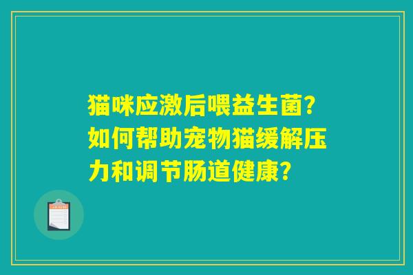 猫咪应激后喂益生菌？如何帮助宠物猫缓解压力和调节肠道健康？