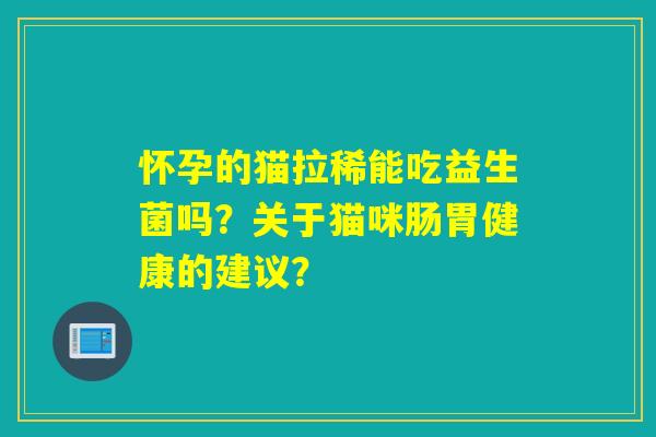 怀孕的猫拉稀能吃益生菌吗？关于猫咪肠胃健康的建议？