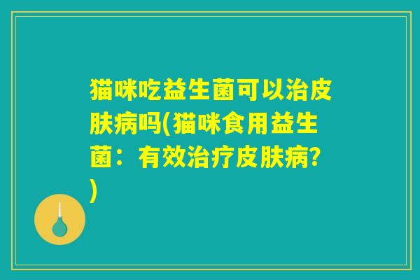 猫咪吃益生菌可以治皮肤病吗(猫咪食用益生菌：有效治疗皮肤病？)