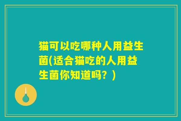 猫可以吃哪种人用益生菌(适合猫吃的人用益生菌你知道吗？)