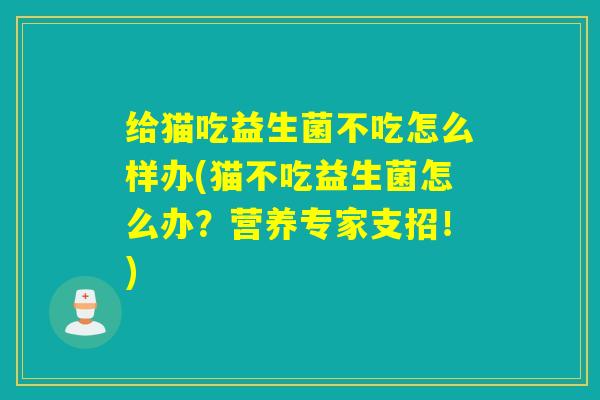 给猫吃益生菌不吃怎么样办(猫不吃益生菌怎么办？营养专家支招！)