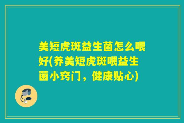 美短虎斑益生菌怎么喂好(养美短虎斑喂益生菌小窍门，健康贴心)