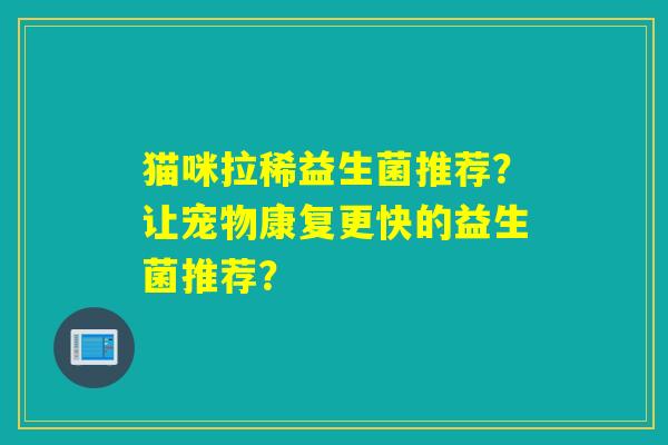 猫咪拉稀益生菌推荐？让宠物康复更快的益生菌推荐？