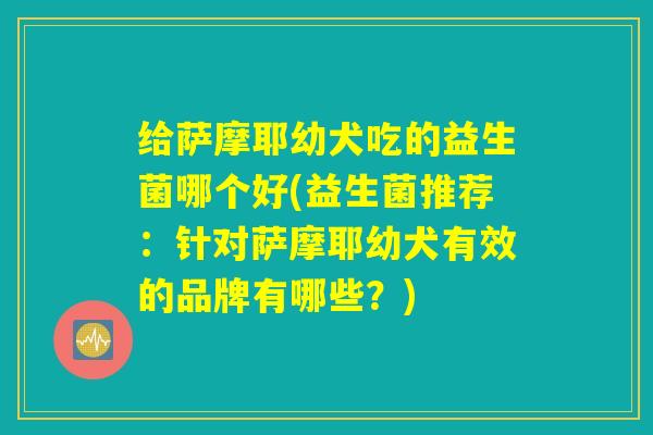 给萨摩耶幼犬吃的益生菌哪个好(益生菌推荐:针对萨摩耶幼犬有效的品牌有哪些?) 给萨摩耶幼犬吃的益生菌哪个好(益生菌推荐:针对萨摩耶幼犬有效的品牌有哪些?)