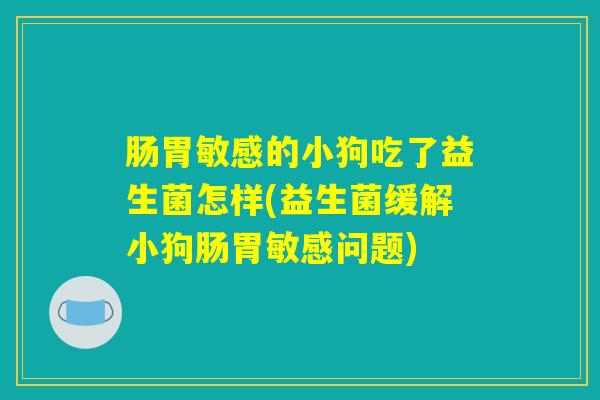 肠胃敏感的小狗吃了益生菌怎样(益生菌缓解小狗肠胃敏感问题)