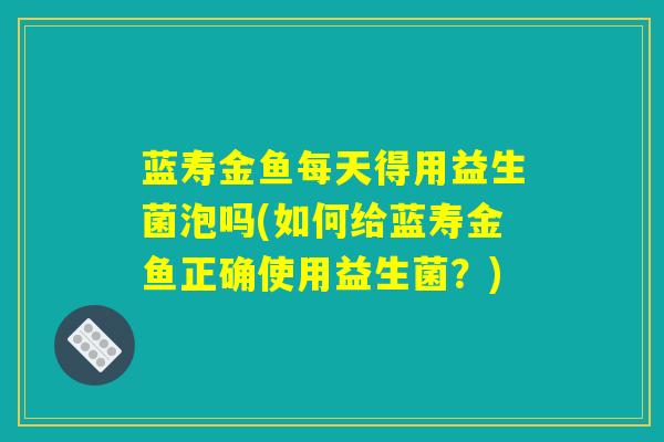 蓝寿金鱼每天得用益生菌泡吗(如何给蓝寿金鱼正确使用益生菌？)