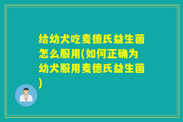 给幼犬吃麦德氏益生菌怎么服用(如何正确为幼犬服用麦德氏益生菌)