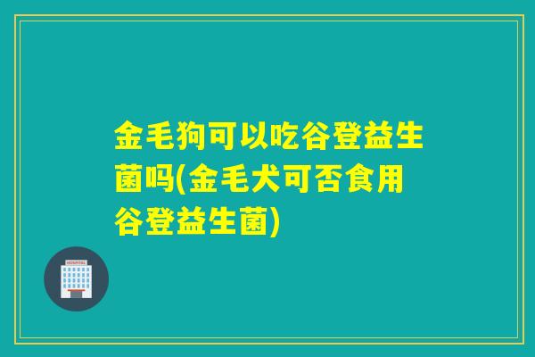 金毛狗可以吃谷登益生菌吗(金毛犬可否食用谷登益生菌)