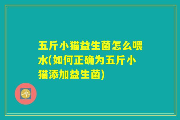 五斤小猫益生菌怎么喂水(如何正确为五斤小猫添加益生菌)