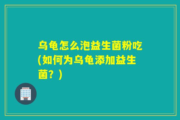 乌龟怎么泡益生菌粉吃(如何为乌龟添加益生菌？)