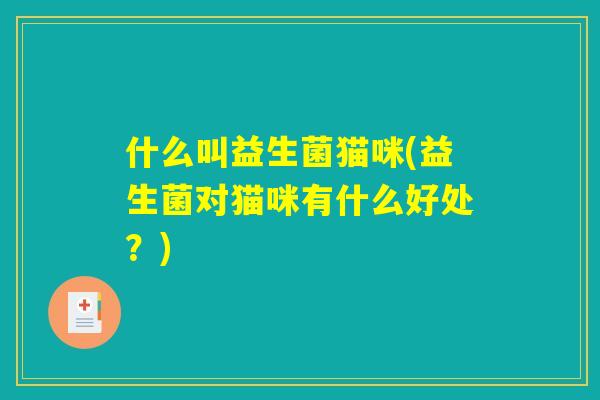 什么叫益生菌猫咪(益生菌对猫咪有什么好处？)