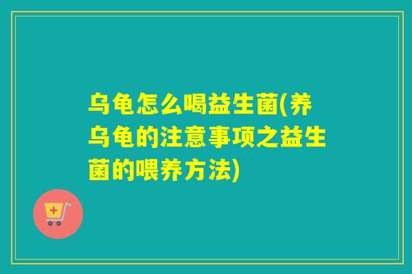 乌龟怎么喝益生菌(养乌龟的注意事项之益生菌的喂养方法)