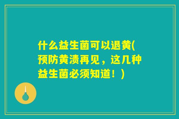 什么益生菌可以退黄(预防黄渍再见，这几种益生菌必须知道！)