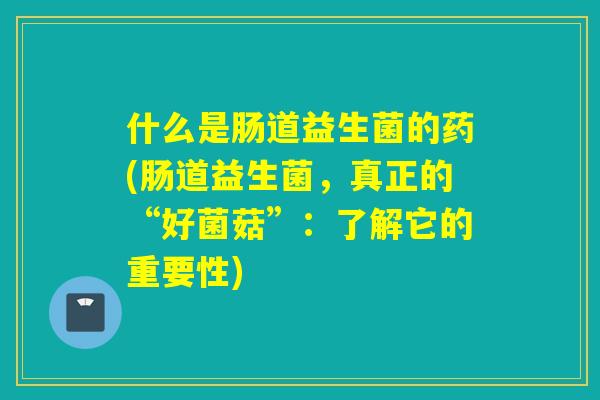 什么是肠道益生菌的药(肠道益生菌，真正的“好菌菇”：了解它的重要性)