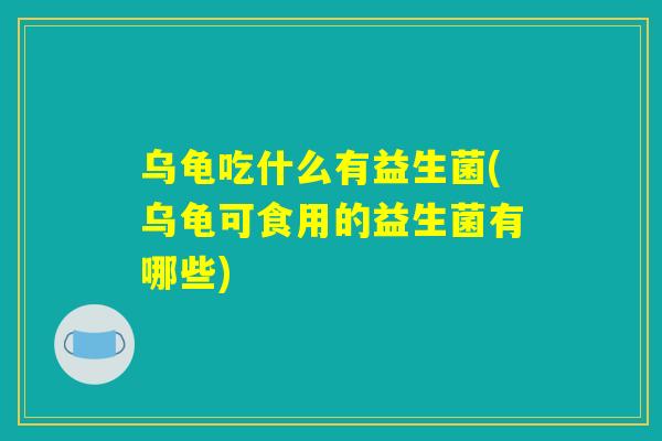乌龟吃什么有益生菌(乌龟可食用的益生菌有哪些)