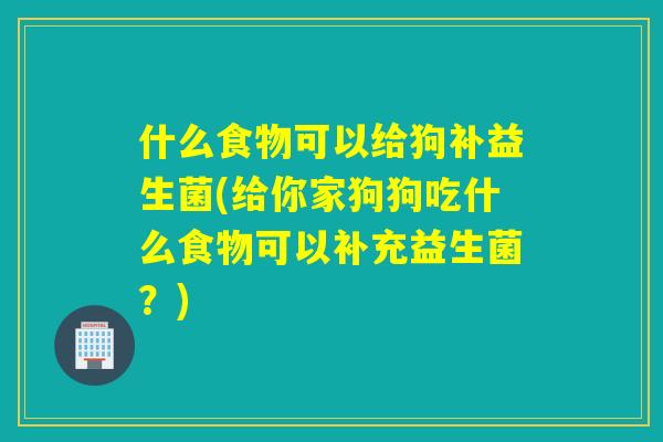 什么食物可以给狗补益生菌(给你家狗狗吃什么食物可以补充益生菌？)