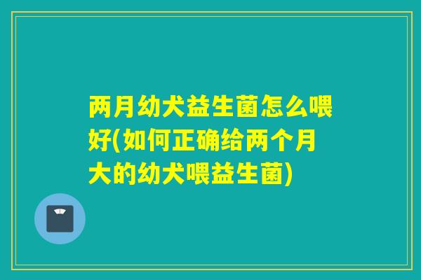 两月幼犬益生菌怎么喂好(如何正确给两个月大的幼犬喂益生菌)