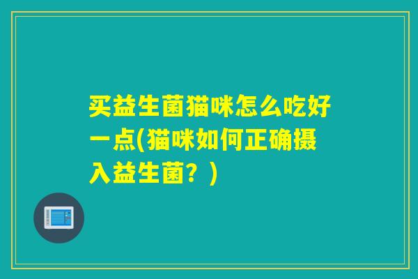 买益生菌猫咪怎么吃好一点(猫咪如何正确摄入益生菌？)