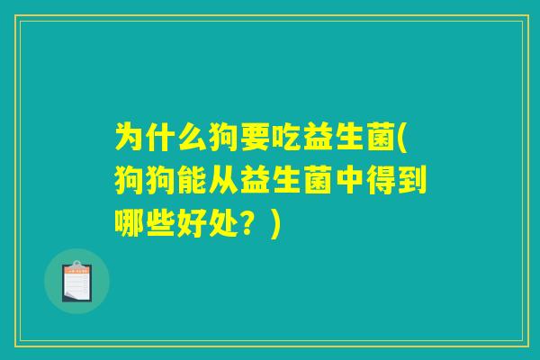 为什么狗要吃益生菌(狗狗能从益生菌中得到哪些好处？)